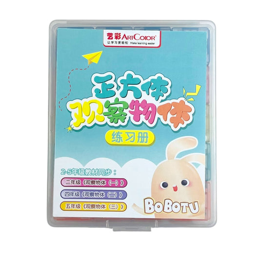 Magnetic Cubes with Case