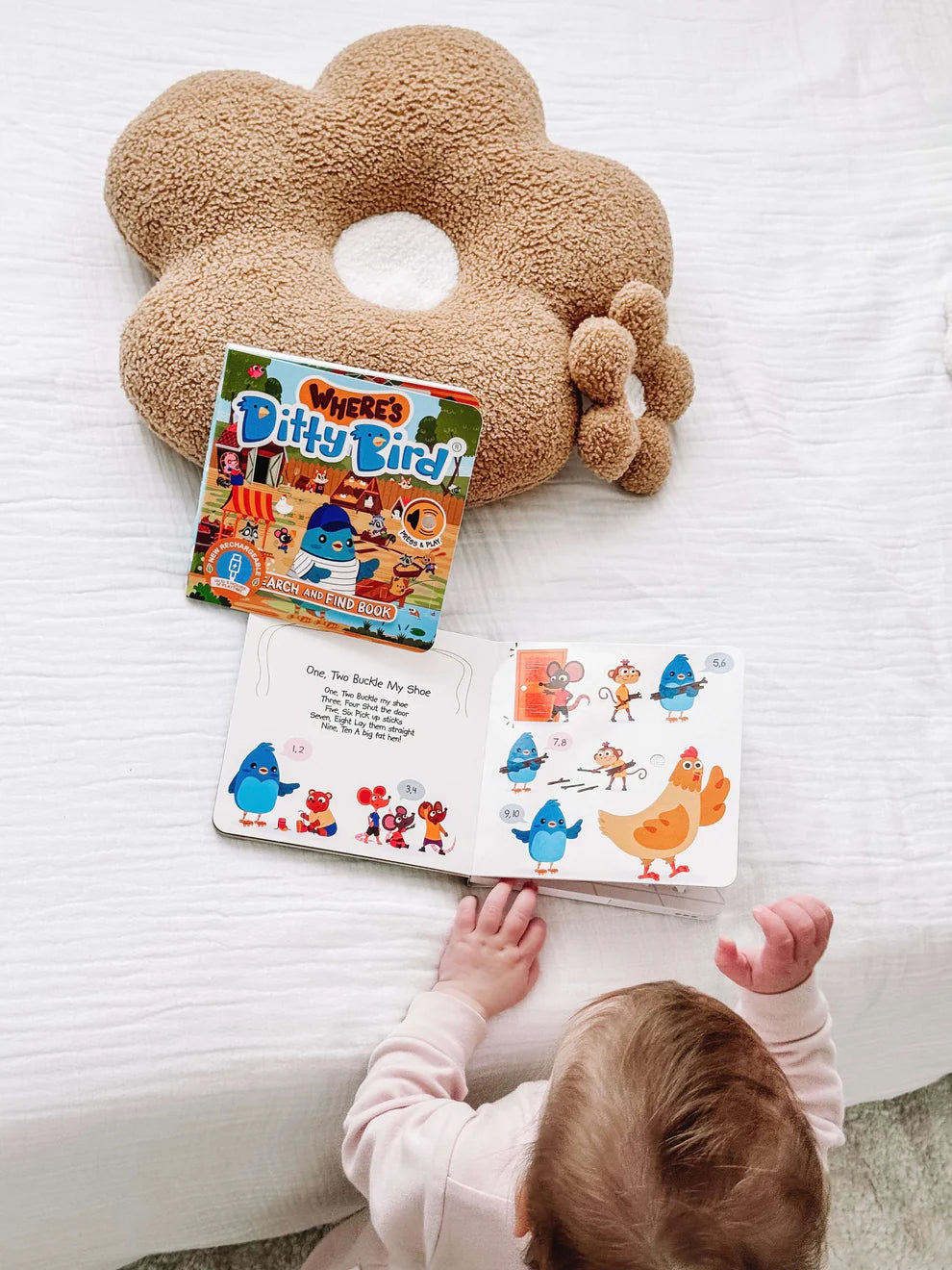 Ditty Bird: Where's Ditty Bird Search and Find Book