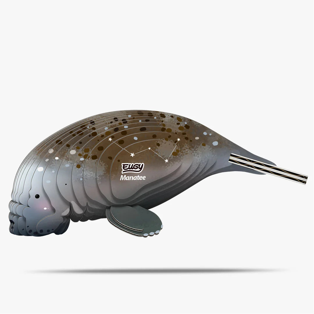 Eugy 3D Cardboard Model Kit - Manatee