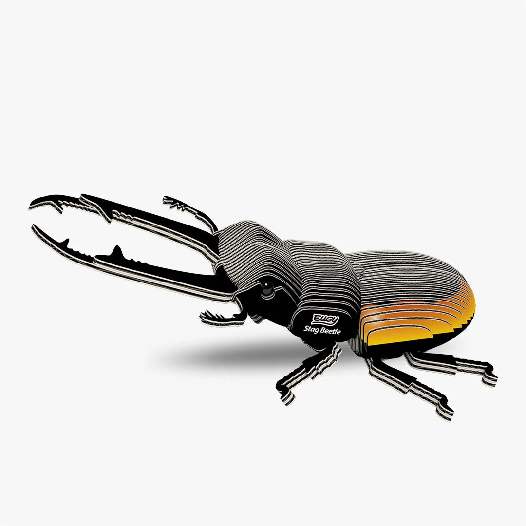 Eugy 3D Cardboard Model Kit - Stag Beetle