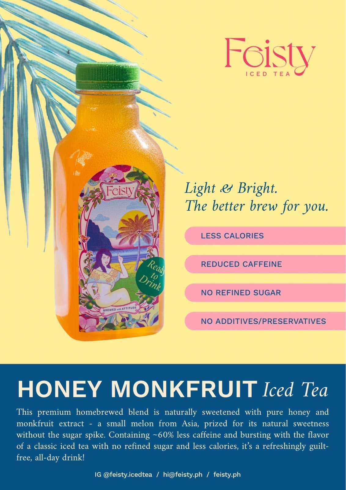 Feisty Honey Monkfruit Iced Tea (Less Sugar) - Ready To Drink