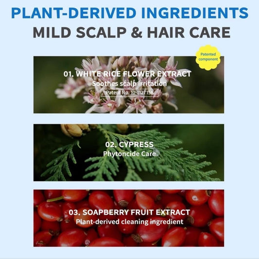 HeadSpa7 No-Wash Shampoo (100ml)