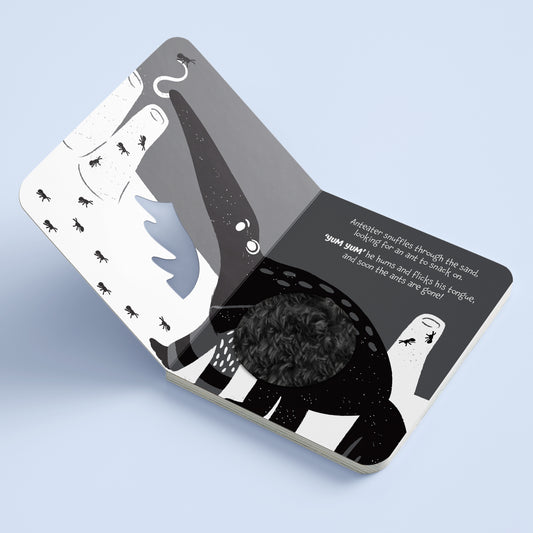 Hinkler High Contrast Rawr Rawr! Touch and Feel Board Book