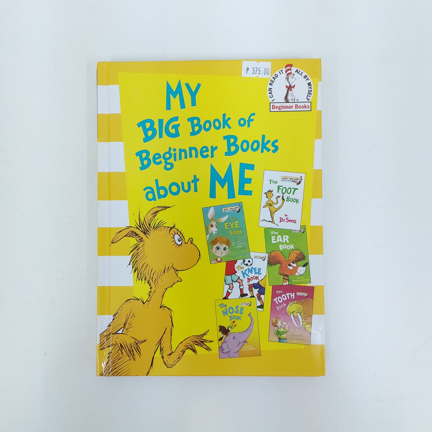 My Big Book of Beginner Books About Me