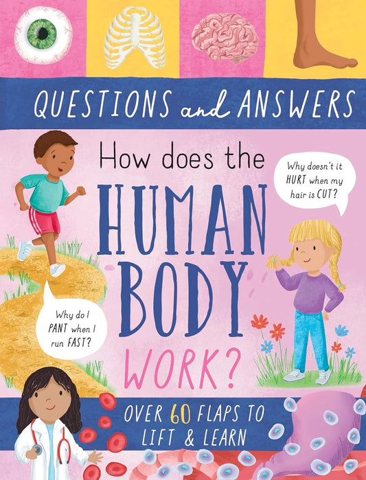 Little Fat Hugs Questions and Answers - How Does the Human Body Work?