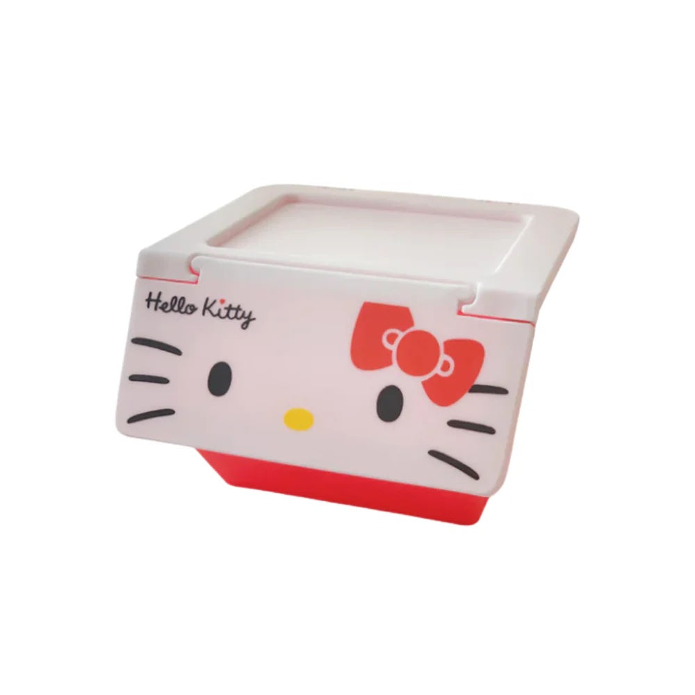 Sanrio Organizer Box