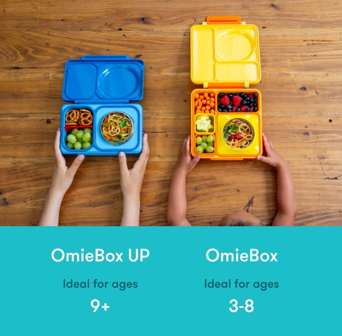 OmieLife OmieBox V2