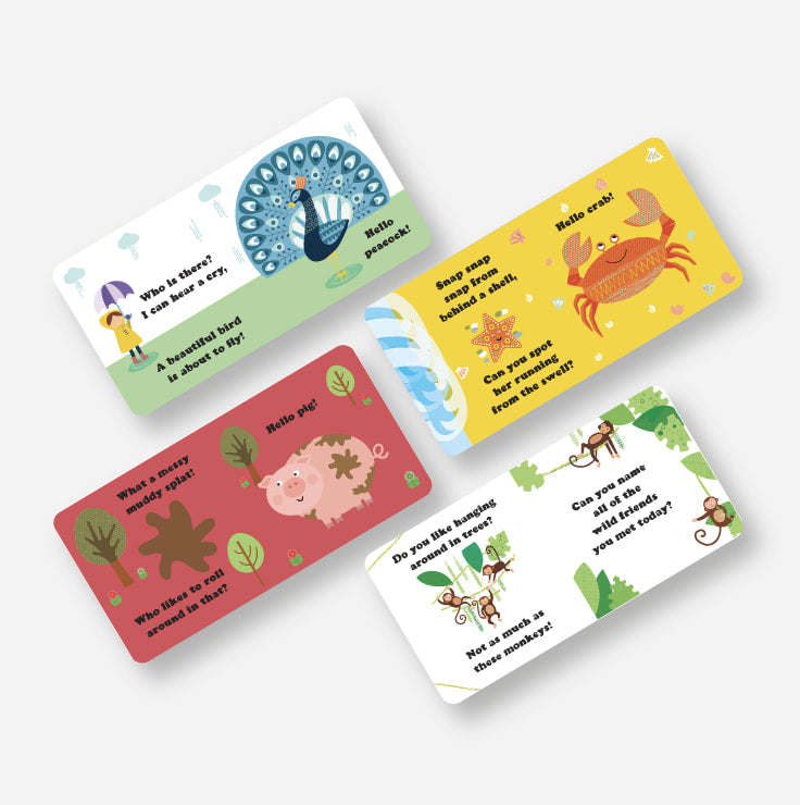 Really Decent Books Little Boxes - ANIMALS