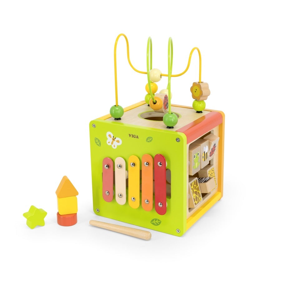 PolarB Viga 5-in-1 Activity Cube