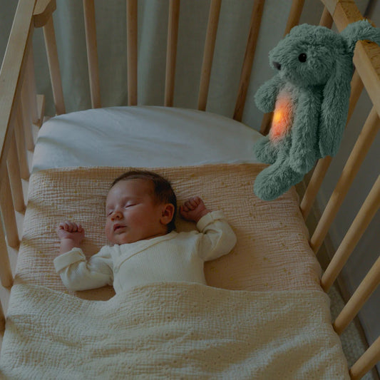 Zazu Ro the Rabbit Baby Sleep Soother with Rechargeable Battery
