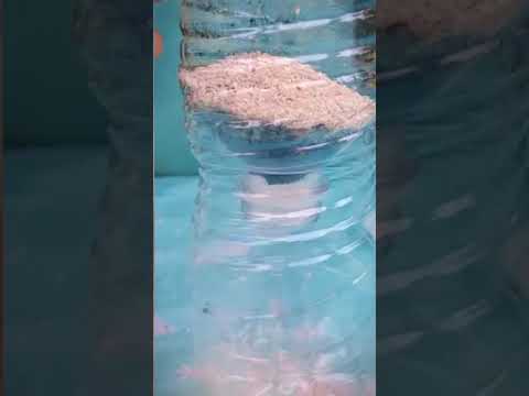 Ma'am and Moms Water Filtration Kit