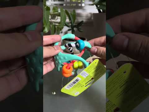 Sassy Baby Busy Ball