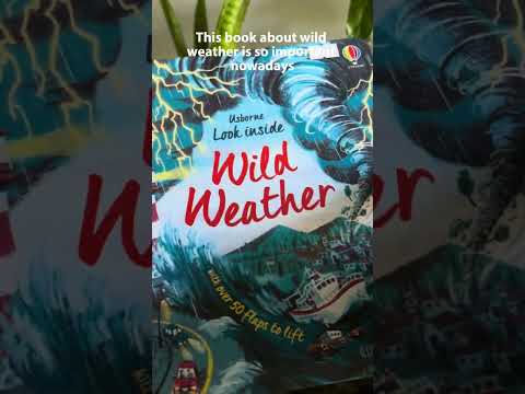 Little Fat Hugs Usborne Look Inside Jobs
