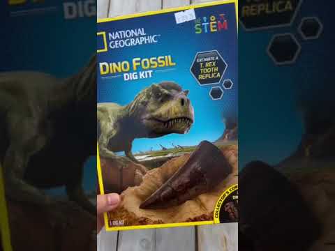 National Geographic Dinosaur Dig Kit