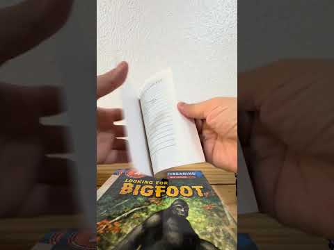 Little Fat Hugs Diary of a Wimpy Kid Series