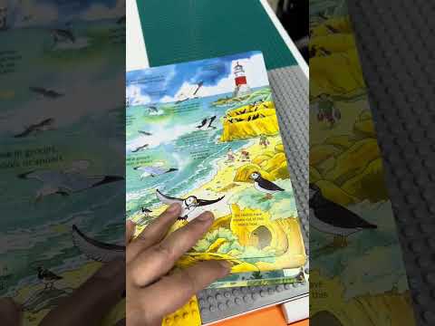 Little Fat Hugs Usborne See Under the Sea