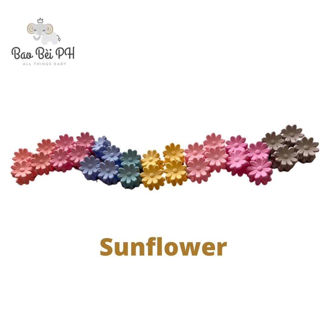 Bao Bei PH Nikki Mini Clips Set