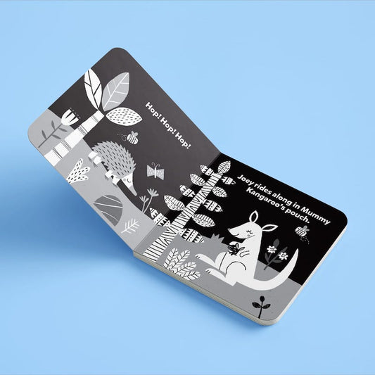 Hinkler Explore High Contrast Board Books