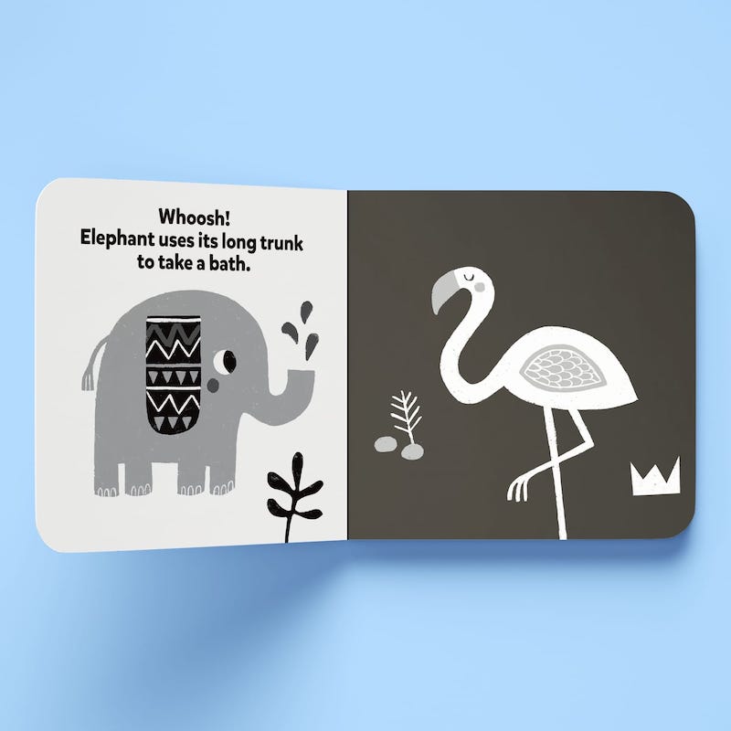 Hinkler Explore High Contrast Board Books