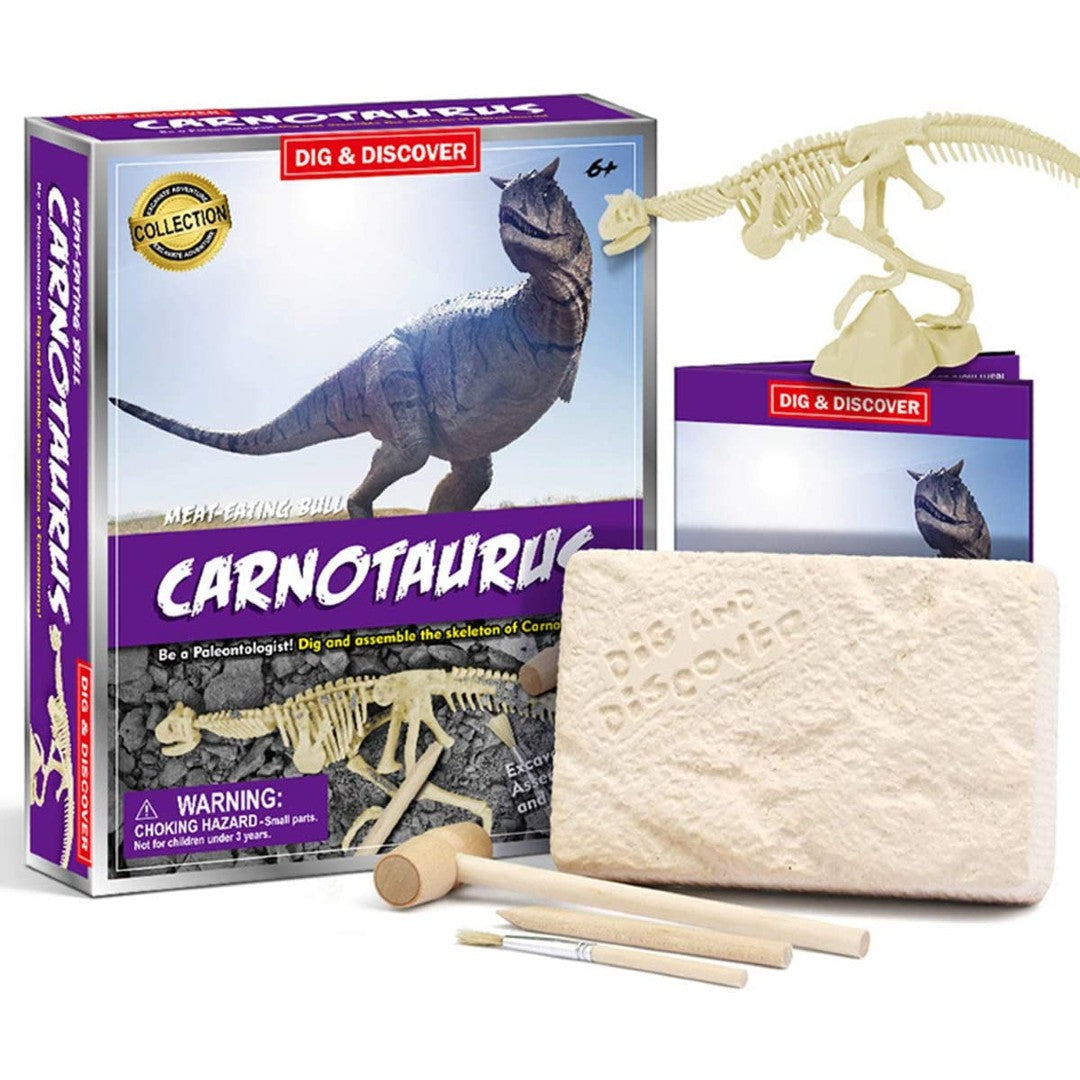 Kits for Kids Carnotaurus Dig Kit