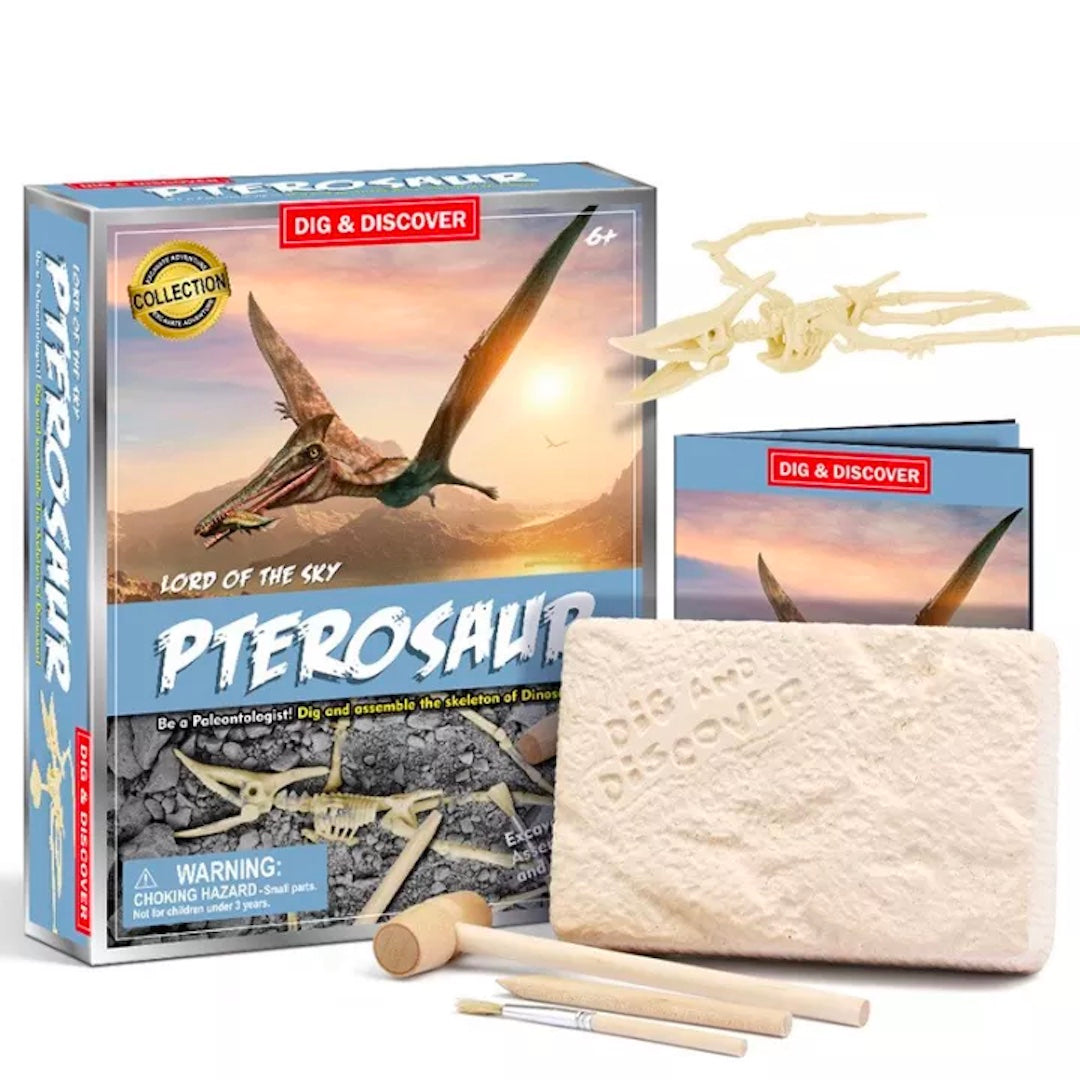 Kits for Kids Pterosaur Dig Kit