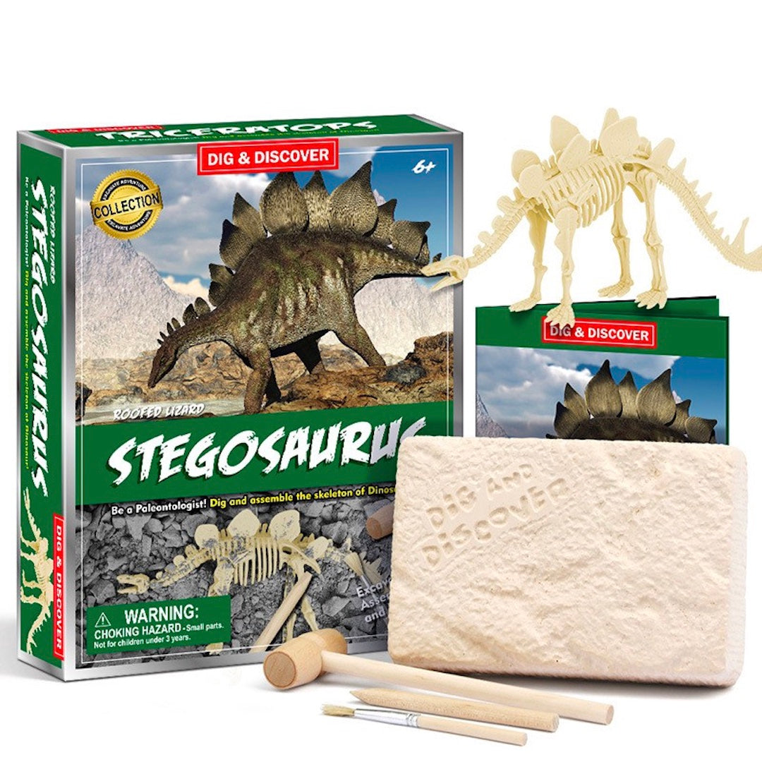 Kits for Kids Stegosaurus Dig Kit