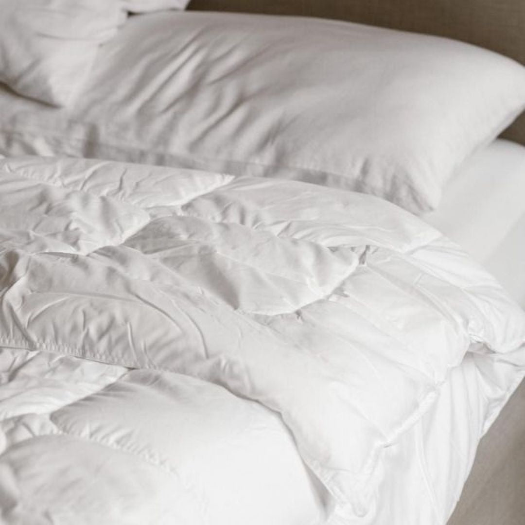 Linen and Homes CloudLight Comforter