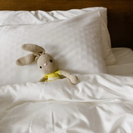 Linen and Homes Pillowcase Set (2-Piece)