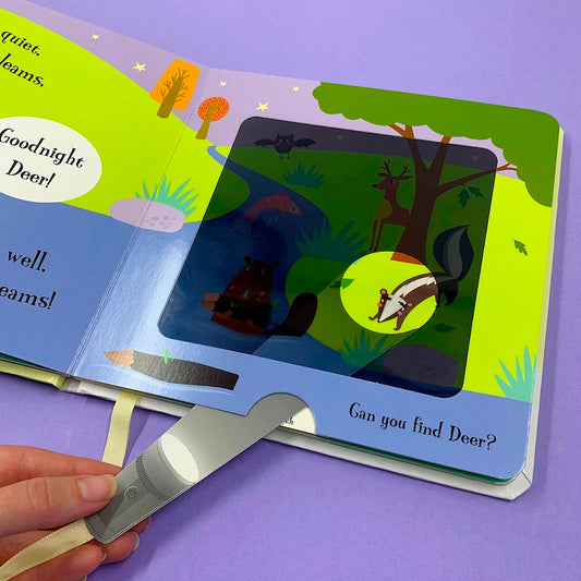 Magic Torch Books: Goodnight Frog