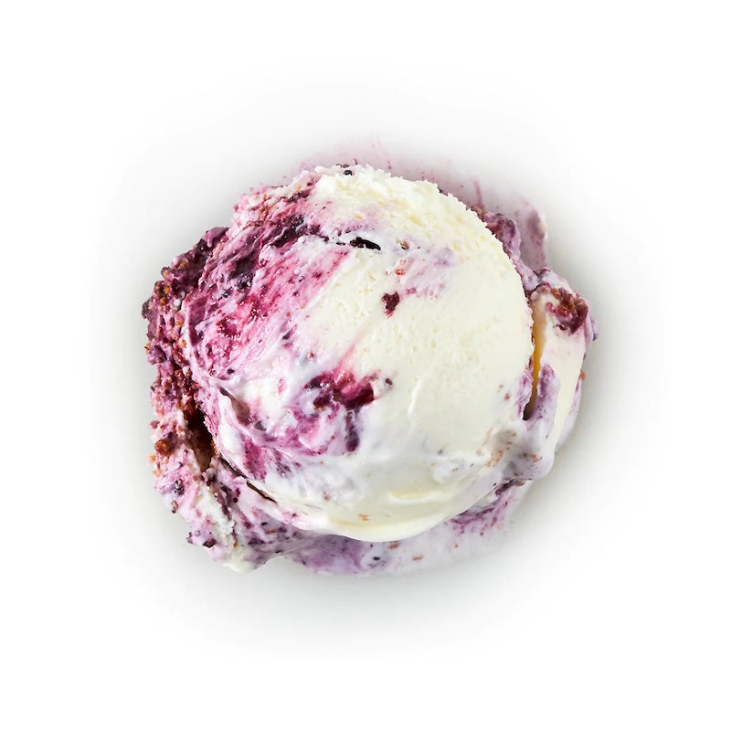 Manila Creamery Regular Gelato - Blueberry Cheesecake (Pint)