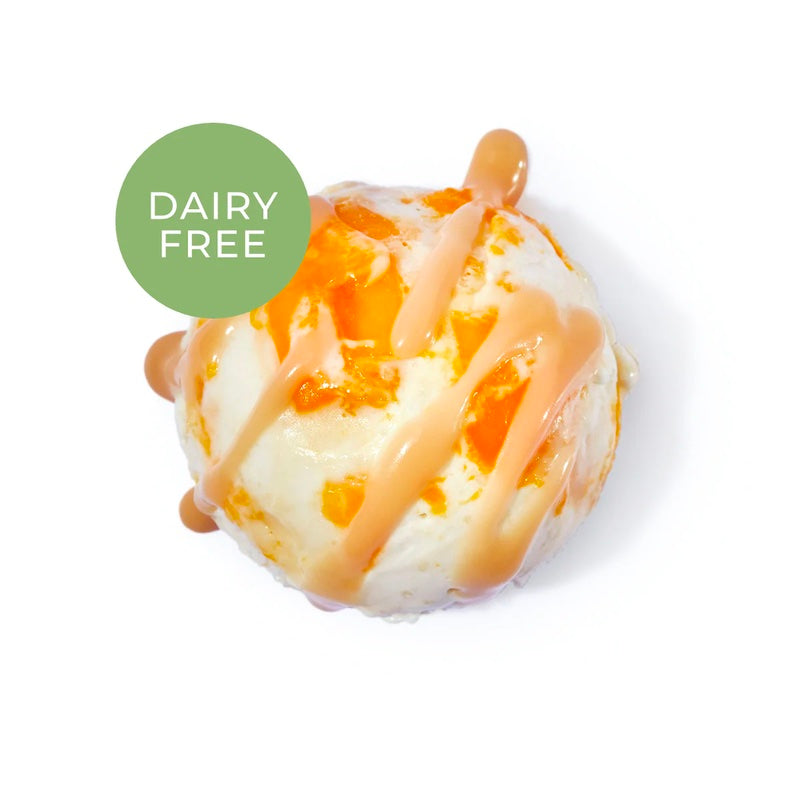 Manila Creamery Premium Gelato - Coconut Mangga't Suman (Pint)