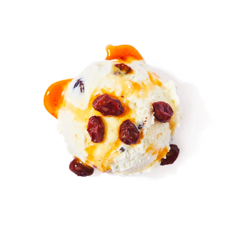 Manila Creamery Regular Gelato - Fun and Raisins (Pint)