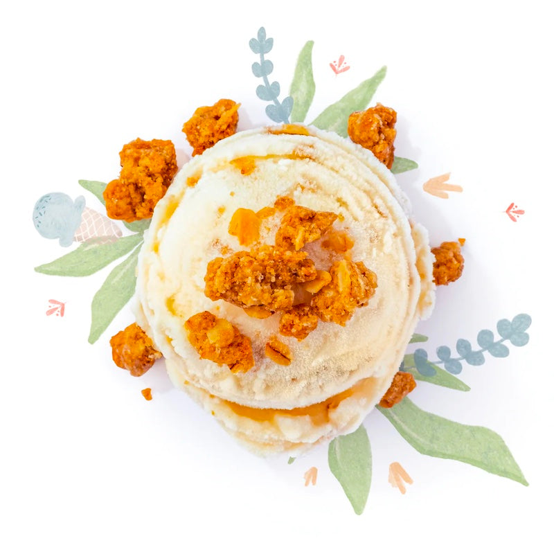 Manila Creamery Solenn Manila Gelato - Lemon Crunch with Yakult (Pint)