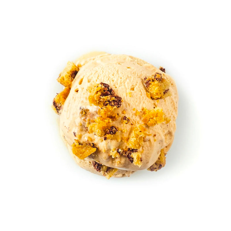 Manila Creamery Regular Gelato - Roasted Milk and Cookies (Pint)