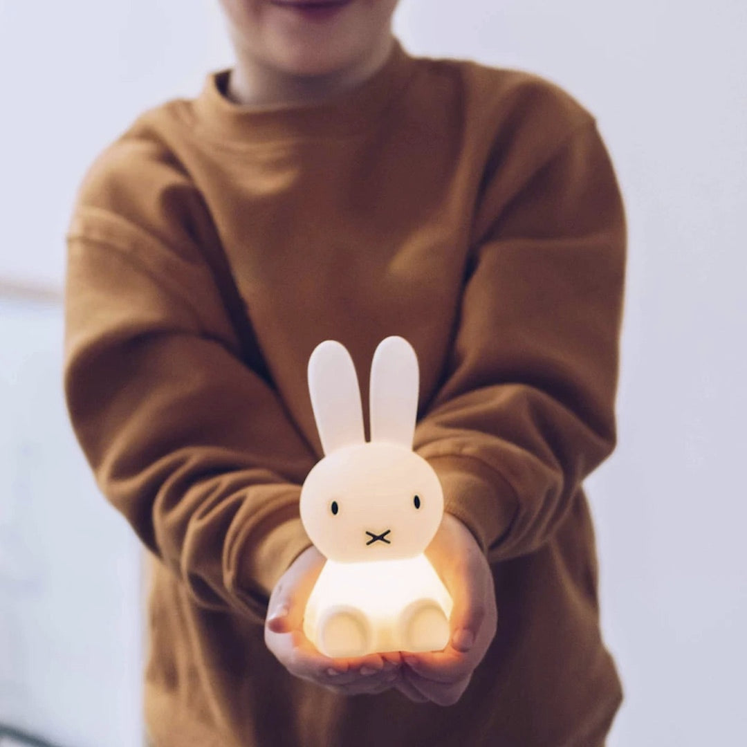 Mr. Maria Bundle of Light (Mini Night Light)
