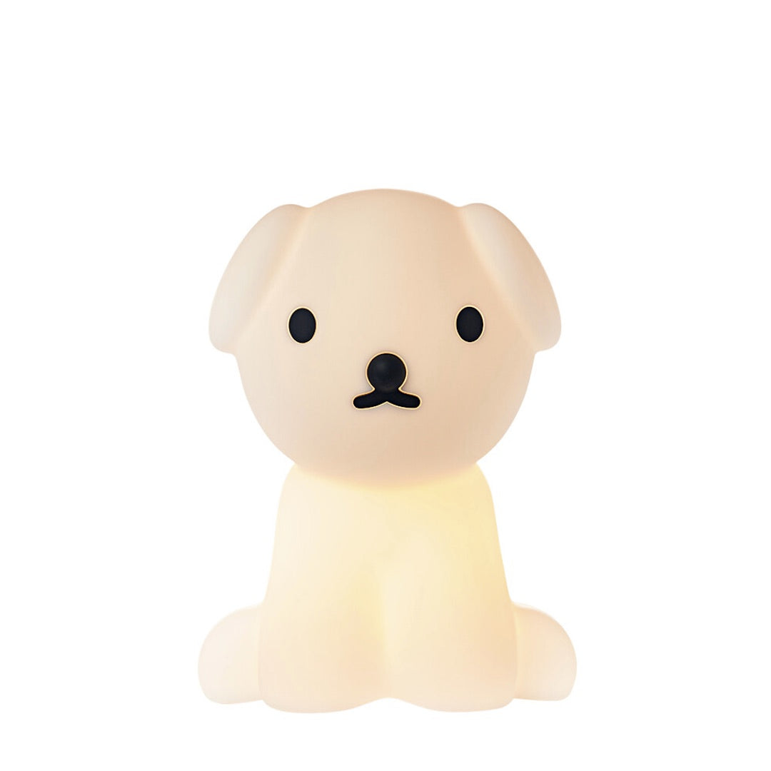 Mr. Maria First Light