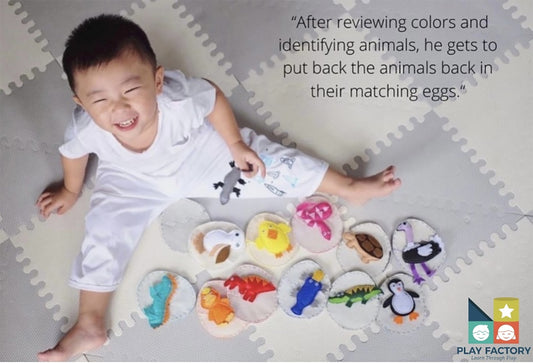 Play Factory Hatching Animals Set (Set of 12)