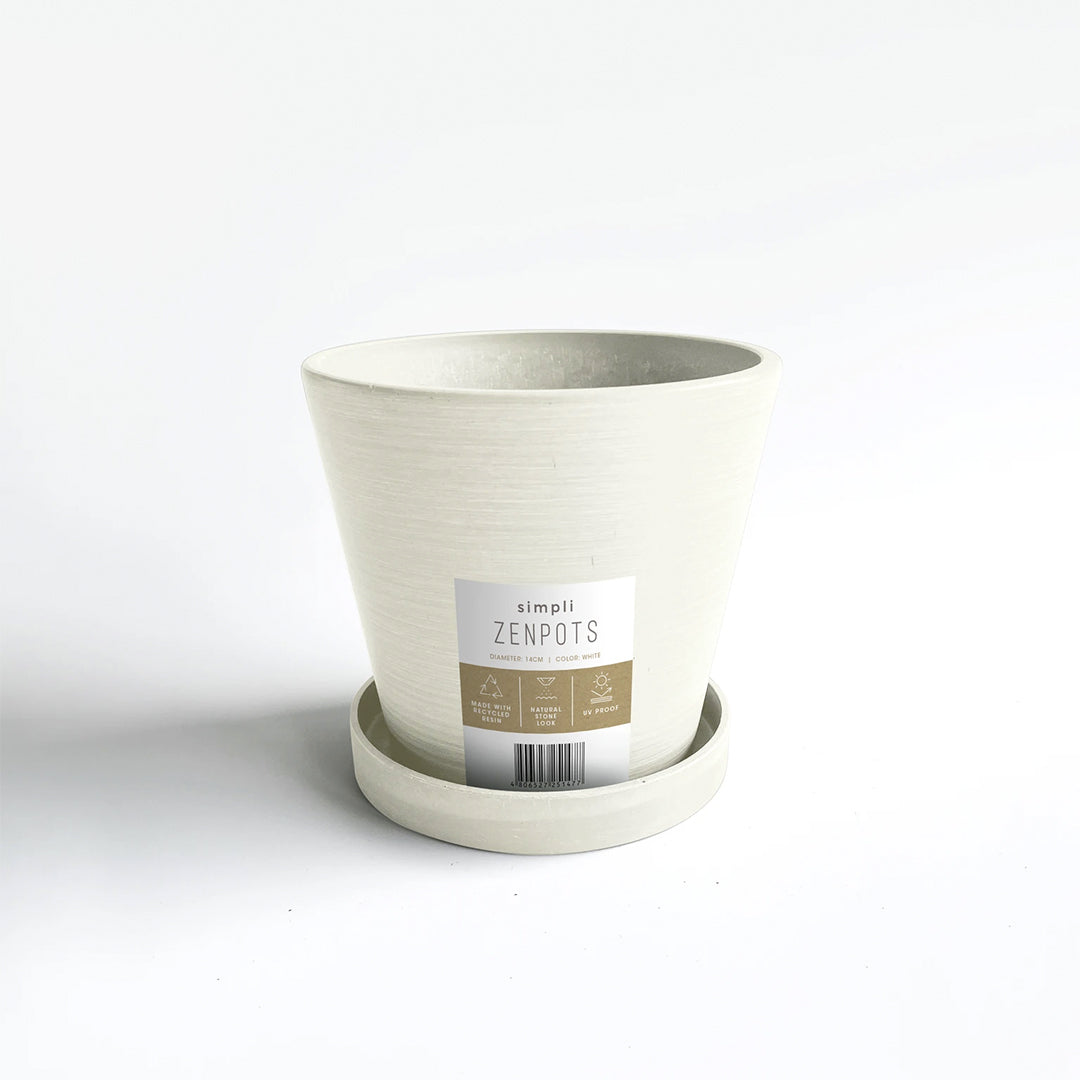 Simpli Zenpots 14cm Pot with Catch Plate