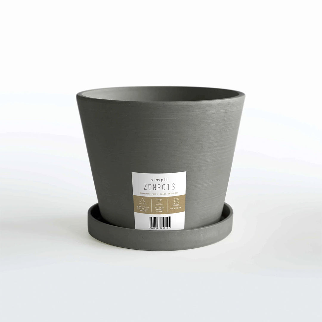 Simpli Zenpots 17cm Pot with Catch Plate