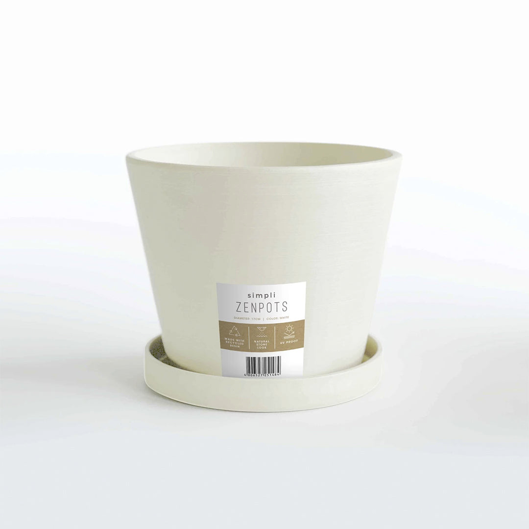 Simpli Zenpots 17cm Pot with Catch Plate