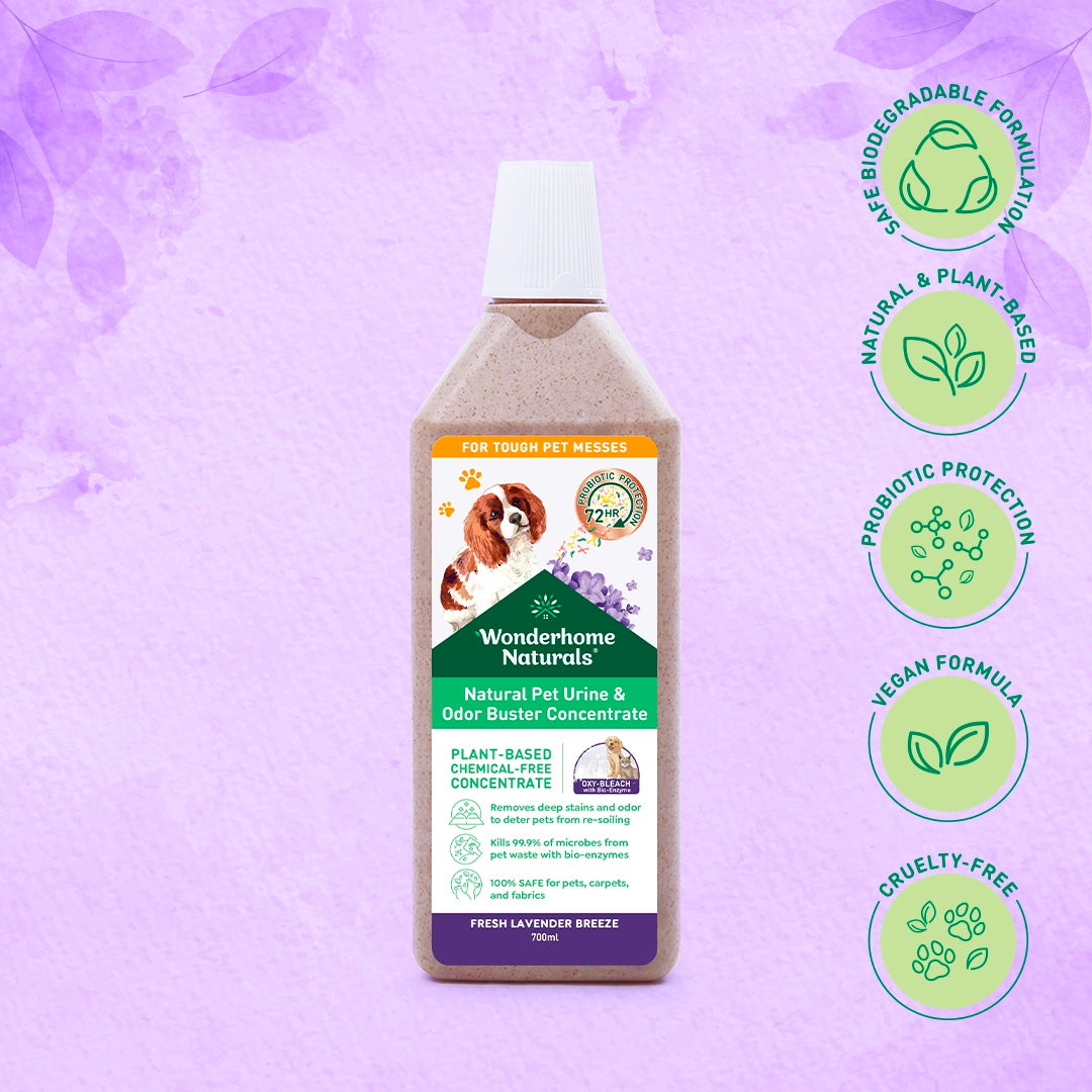 Wonderhome Natural Pet Urine Stain and Odor Buster Concentrate (700ml)
