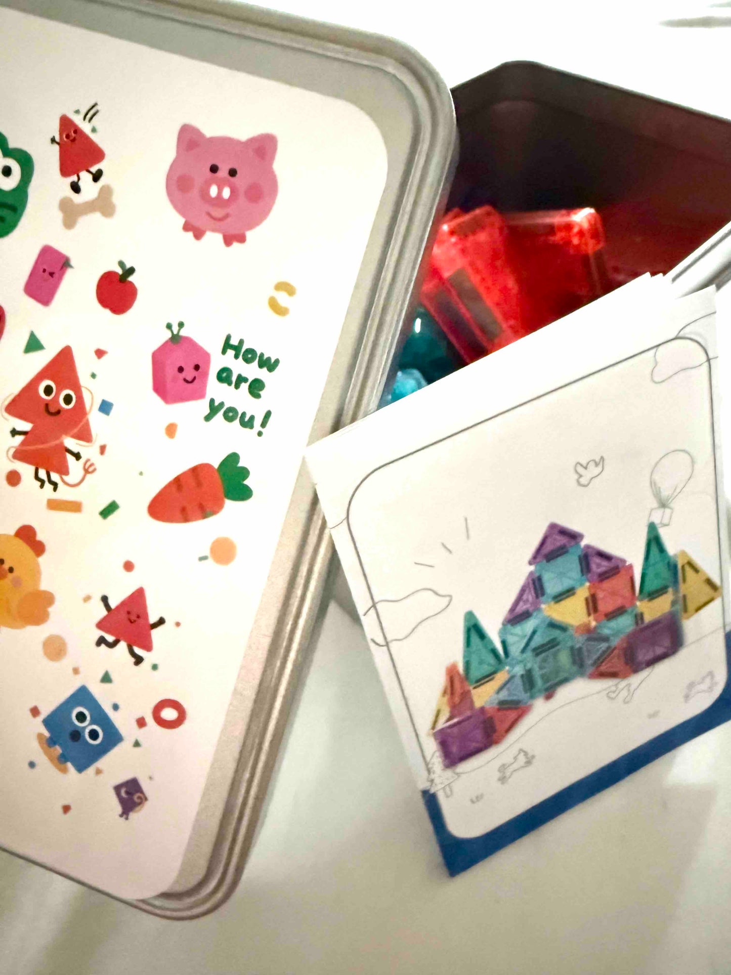 Mini Magnetic Tiles with Case