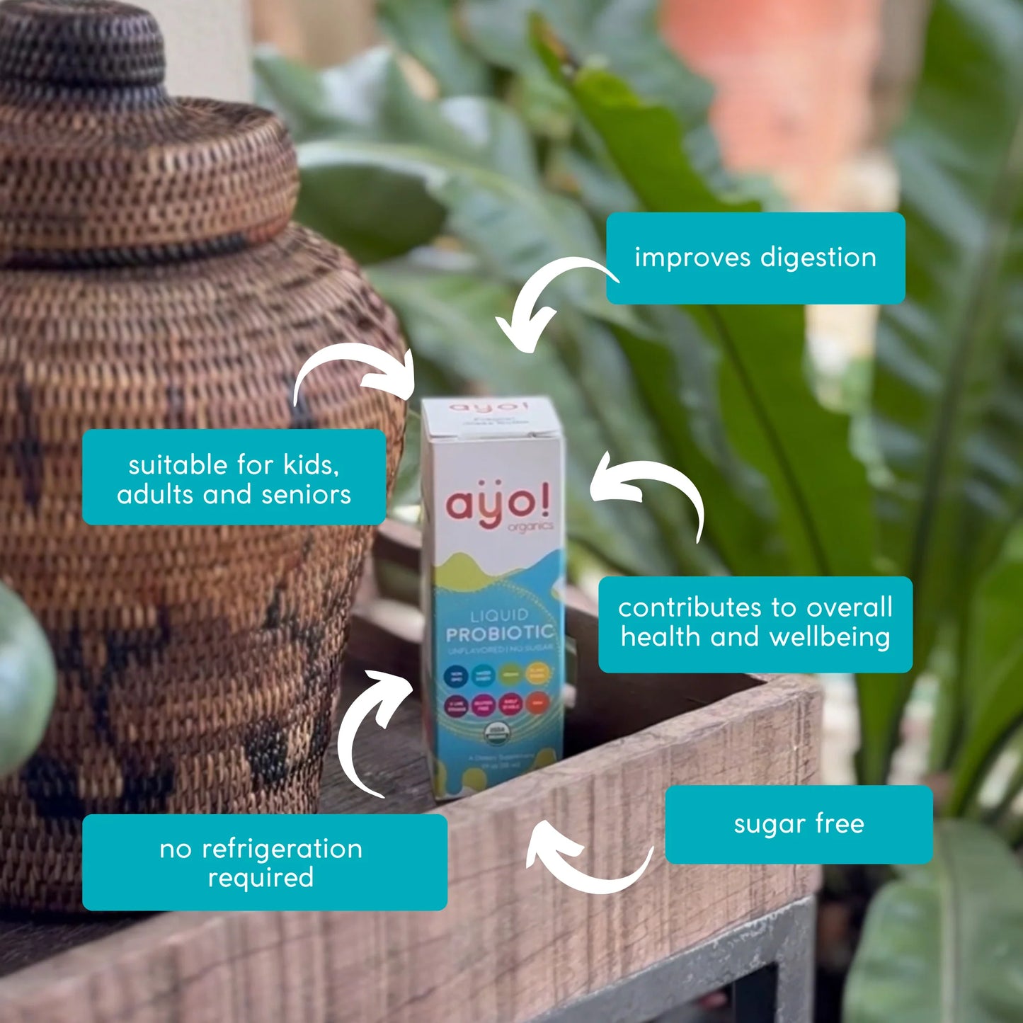 Ayo! Organics Liquid Probiotic Drops (4oz)
