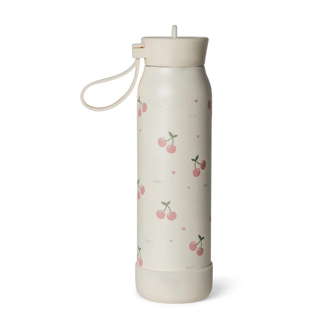 Citron Triple Insulated Water Bottle (350ml)