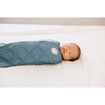 Dreamland Baby Weighted Sleep Swaddle and Sack - Ocean Blue