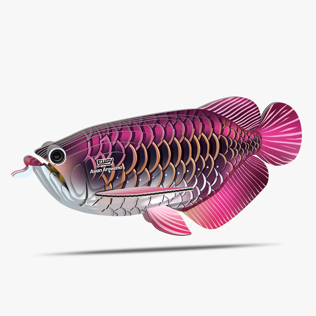 Eugy 3D Cardboard Model Kit - Asian Arowana