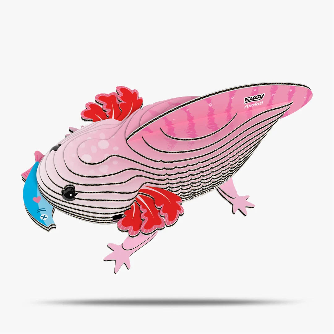 Eugy 3D Cardboard Model Kit - Axolotl