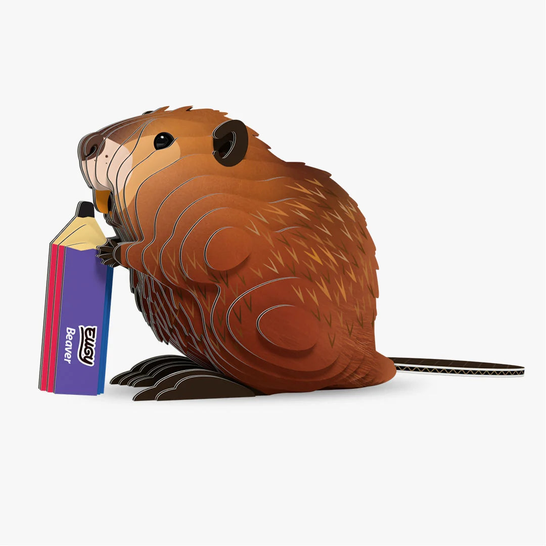 Eugy 3D Cardboard Model Kit - Beaver