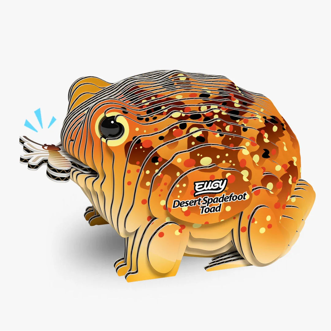 Eugy 3D Cardboard Model Kit - Desert Spadefoot Toad