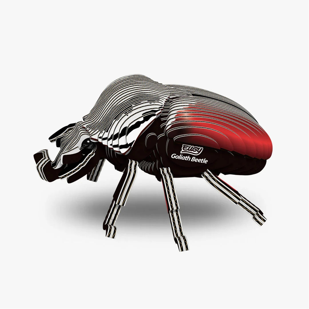 Eugy 3D Cardboard Model Kit - Goliath Beetle